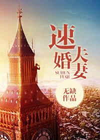 速婚夫妻晋江无缺