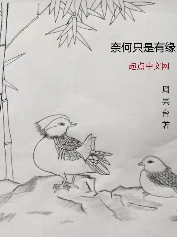 奈何有缘无份的古文咋说
