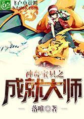 神奇宝贝大师