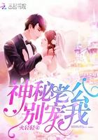 神秘老公别心急全文免费阅读