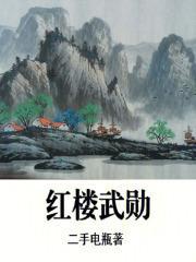 红楼武勋二手电瓶免费阅读