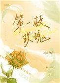 第一枝玫瑰完整版章节