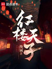 红楼天子TXT免费