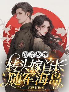 转头嫁首长随军海岛 列表