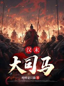 汉朝的大司马大将军