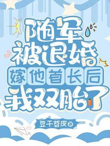 嫁他首长躺赢作者豆干苕皮