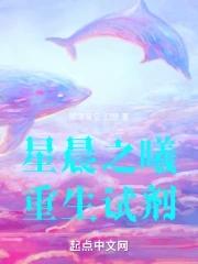 星辰之曦重凝深渊