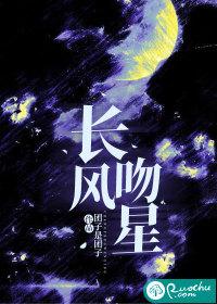 星越L长风版优缺点