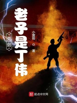 亮剑老子是丁伟 小雷哥