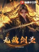 无敌剑圣沙雕动画