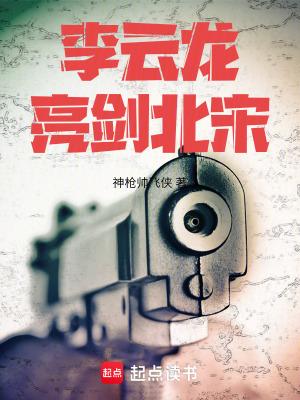 李云龙亮剑北宋TXT