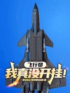 我想玩飞行员