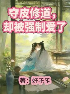 夺皮讲的什么意思 没看懂