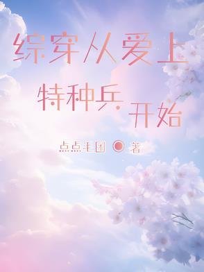 综穿特种兵系列