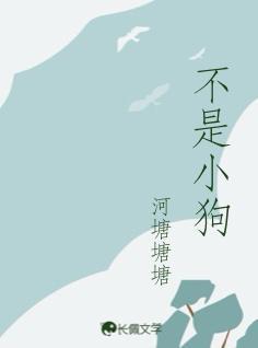 不是小狗的小房子中的情节的是