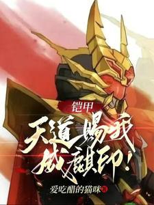 铠甲勇士之天道