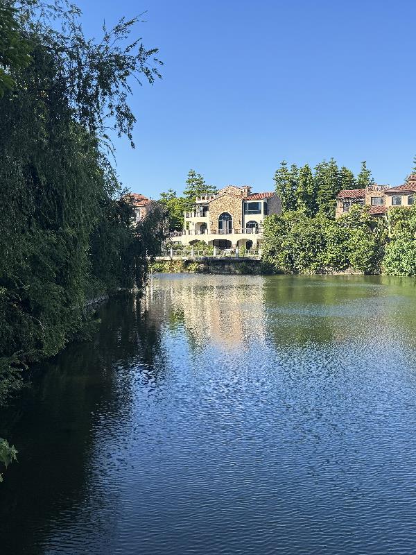 综影视我自倾城