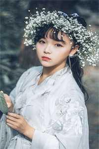 太子喜欢女主的