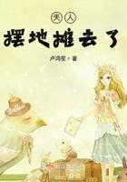 夫人又去摆地摊