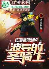 神奇宝贝之波导的圣骑士免费观看