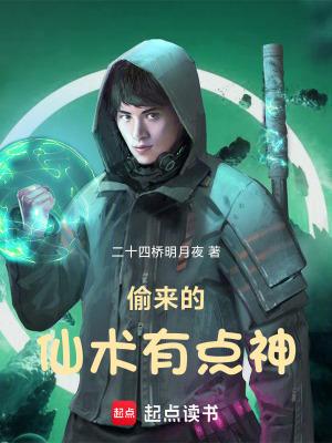 偷来的仙术有点神TXT免费