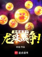 圣杯战争?龙珠战争!txt