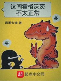 整个霍格沃茨最华丽的房间