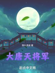 大唐天将军TXT百度资源