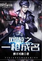 网游之一枪飙血无错